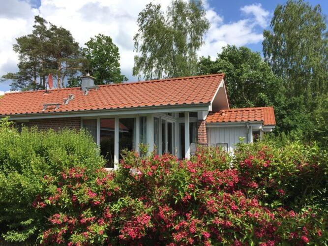 Holiday Home Mueritzhus On The Mueritz Marienfelde Zewnętrze zdjęcie